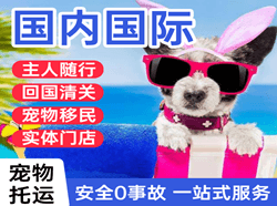 满洲里西郊机场快运国际宠物托运 【国